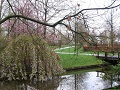 Keukenhof
